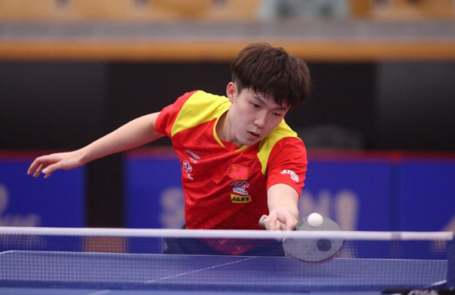 展示了他们 展示了他们